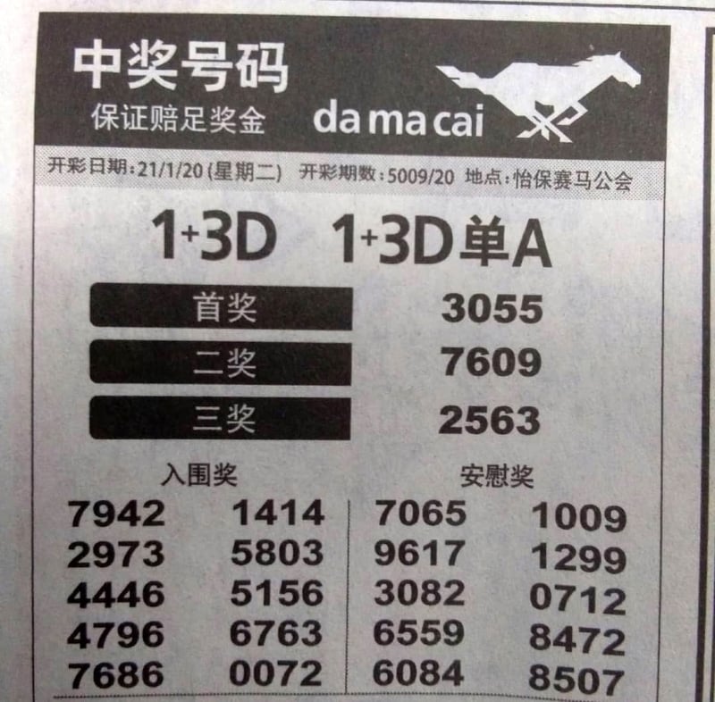 一条小蛇出现在一辆汽车的车尾箱盖上,引起字迷的注意,当晚车牌6079的全打字7609在大马彩开出二奖,让下注的字迷发了新年财。