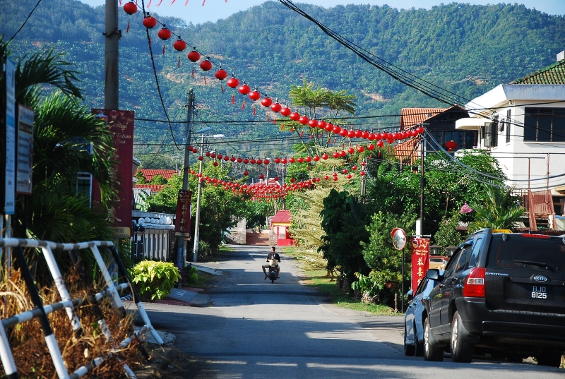百家村主要道路已挂上红彤彤的灯笼。
