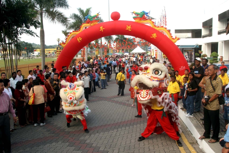 狮是万兽之王，富有阳刚之气，更象征瑞祥，因此在华人的新春活动上，舞龙舞狮是必不可少的传统表演艺术。