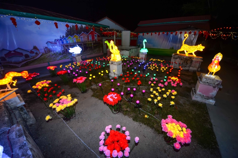 除了新年传统装饰，近年来兴起的LED花海，也是各种华人或宗教场所常用的装饰主题，吸引市民前来“打卡”。