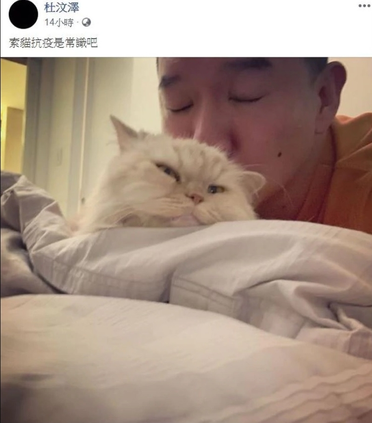 杜汶泽在脸书贴出闻爱猫Momo的照片，调侃中国养猫可防疫传闻。