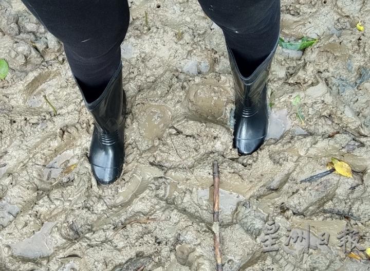 进入亚答芭必须穿上长靴，方便行走，否则鞋子会陷入泥泞拔不出来。 