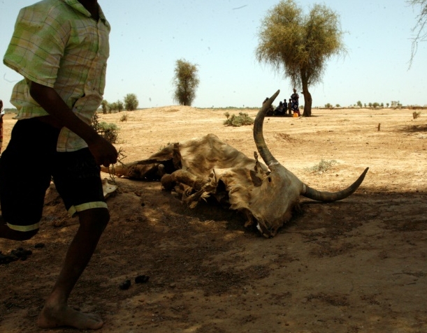 Heat waves are a direct threat to human live and can cause food shortages. AFP Heat waves are a direct threat to human live and can cause food shortages. AFP