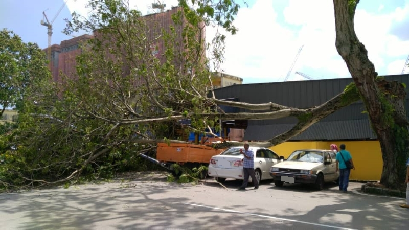 灵市17/1a路巴刹前的大树突然倒下，压倒罗里、汽车及街灯，惟不确定是否有人受伤。