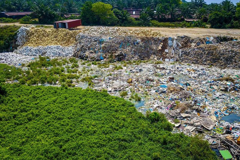 威省市政局去年3月揭发武吉茶的部份地段被当作非法垃圾场。（档案照）