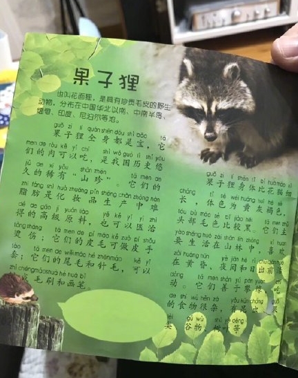 有网友也指出书中图片也配错，将浣熊图片当成果子狸。