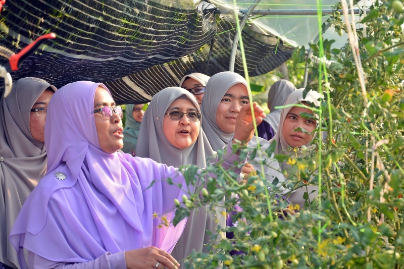 端法依查（左）邀请非政府妇女组织到菜园参观，以身作则鼓励她们在家种菜。