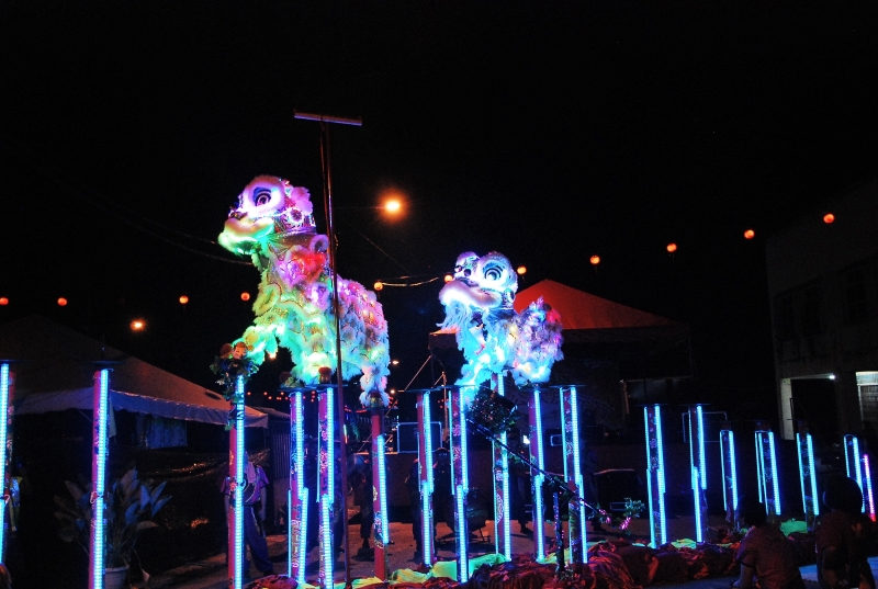 森州桂青文艺协会龙狮团两头夜光狮表演，吸引很多人目光，友族同胞纷纷用手机拍下跳椿过程。