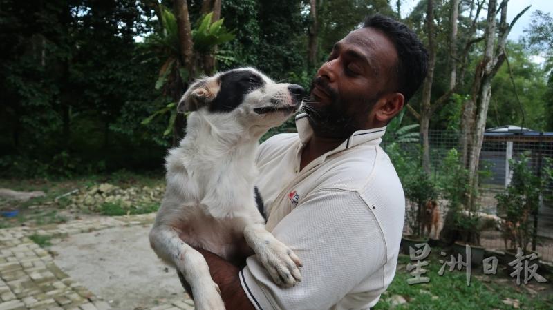 狗对木古来说就像亲人朋友一样，促使他多年持续参与动物救援行动。