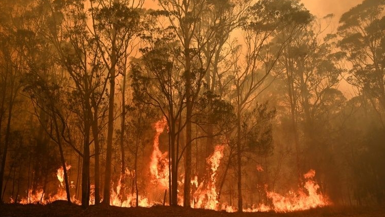 Bushfires that tore through Australia affected three quarters of the population in some way. AFP
