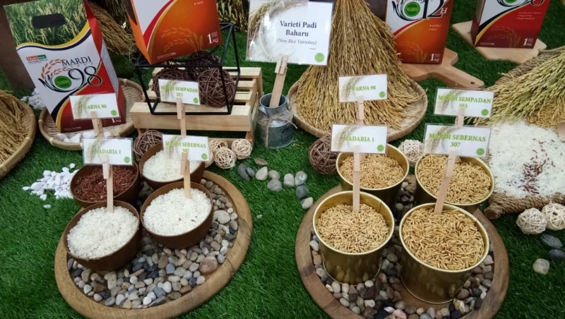 该展览厅内亦展示不同的稻米品种。