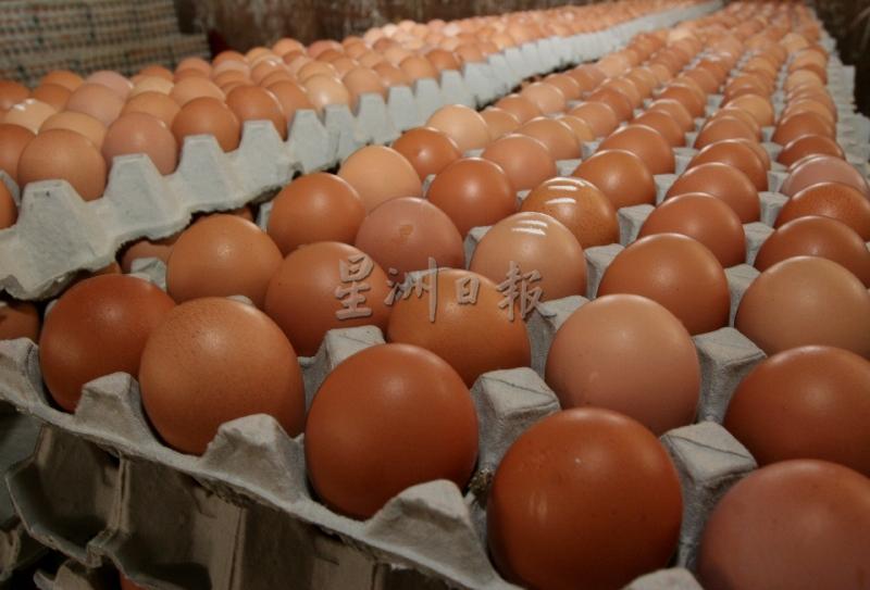 鸡蛋农场价一直在20多仙浮动。