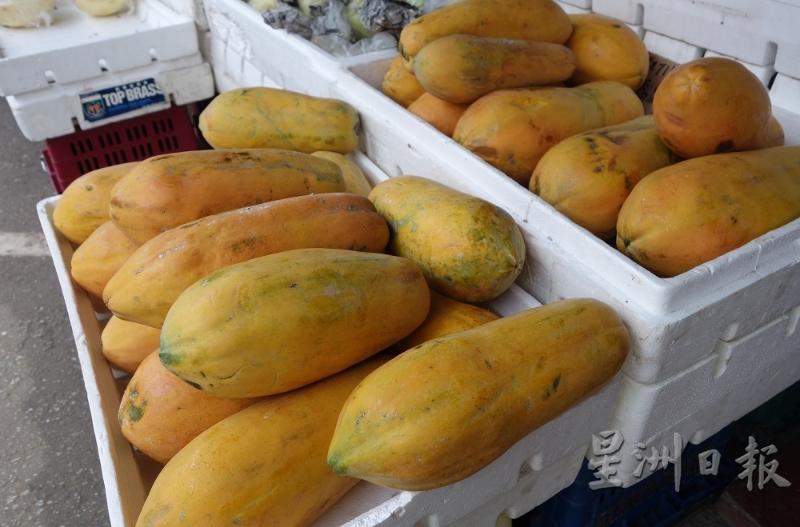 目前木瓜市价约为每公斤3令吉，新冠肺炎疫情持续，业者不敢轻举妄动。（图：星洲日报）