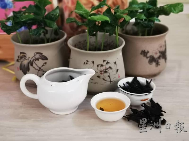 咖啡花及咖啡叶可制成茶,两者的味道均清香扑鼻。咖啡也可种植在小盆栽里,放入室内成为摆设及空气清新剂。