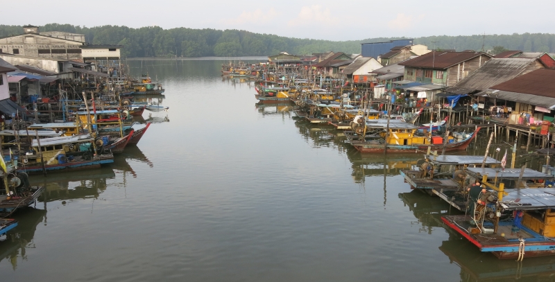 渔民将渔船泊在河旁，暂时不敢出海捕鱼。