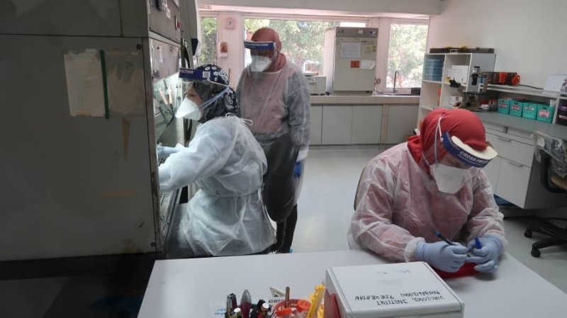 实验室里的工作人员被一律规定要佩戴N95型口罩，面罩（防止样本飞溅到脸部）以及手套。