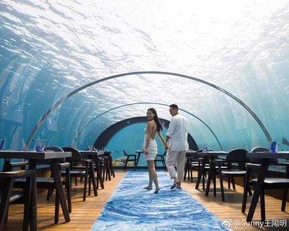 2年前王阳明为了给蔡诗芸惊喜，就安排到这家海底餐厅庆生。（图取自微博）