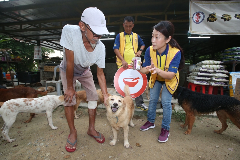 怡保万里狮子会志工符珍莹（右一）指导谢其胜如何合理分配狗粮给82只狗。