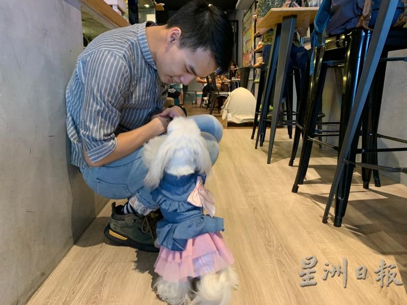 林凯敬与咖啡馆内的狗狗互动良好。

