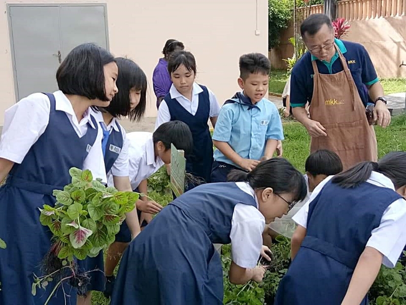学生兴奋地收成蔬菜，是范贵平坚持的动力。