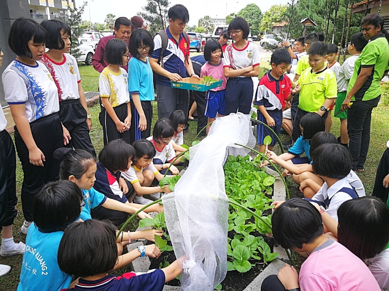 学生参与种植蔬菜的整个过程。