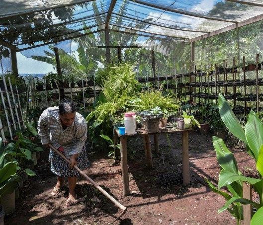 A resident works in the vegetable garden in the Vila Nova Esperanca. AFP