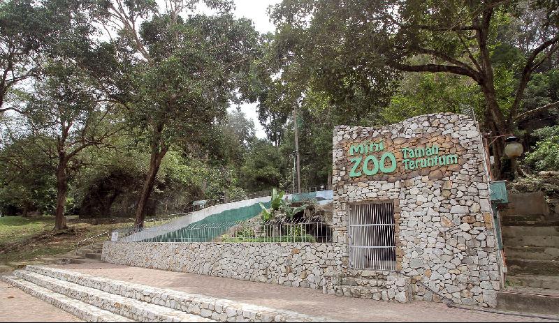 市议会采取限制令，包括迷你动物园在内皆不允许进入。