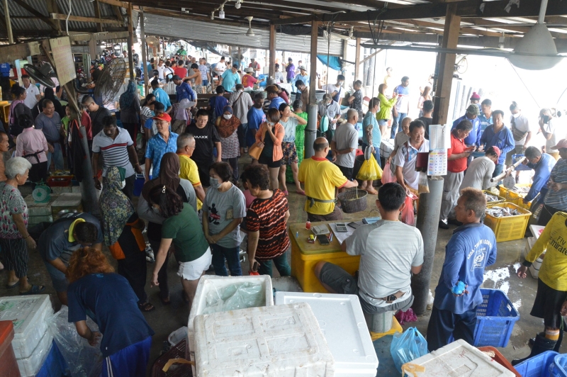 高渊港口渔获码头人潮多了一倍，渔民又少出海，导致海鲜供不应求。