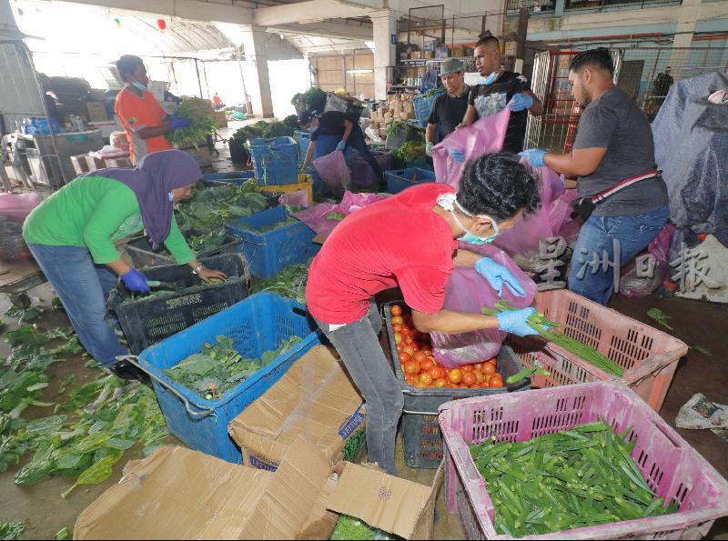有约30名志愿者协助打包蔬菜。