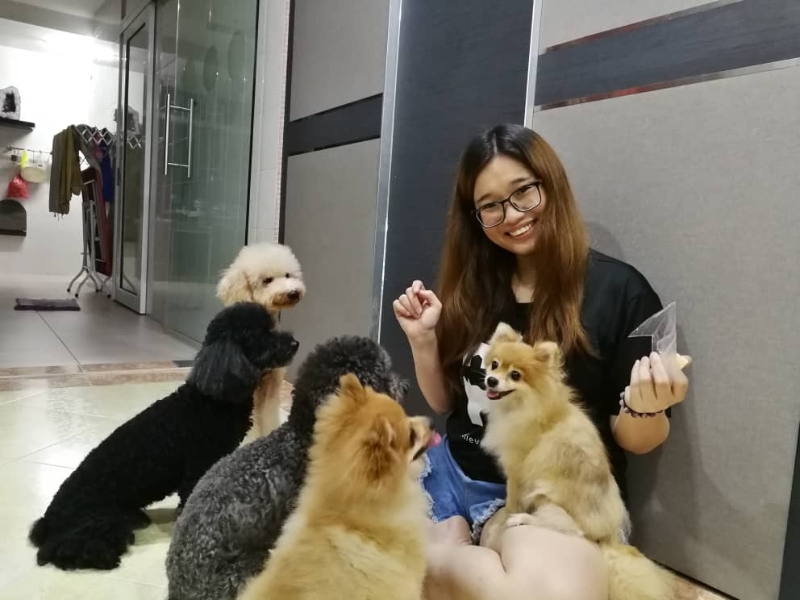 陈可欣：居家办公能有更多时间陪伴5只爱犬。