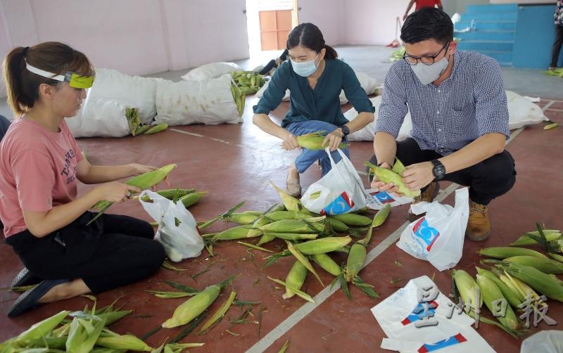 新邦波赖州议员选区助理罗欣儿（左起）、黄诗情和陈家兴在分发玉蜀黍期间，做足防疫措施。