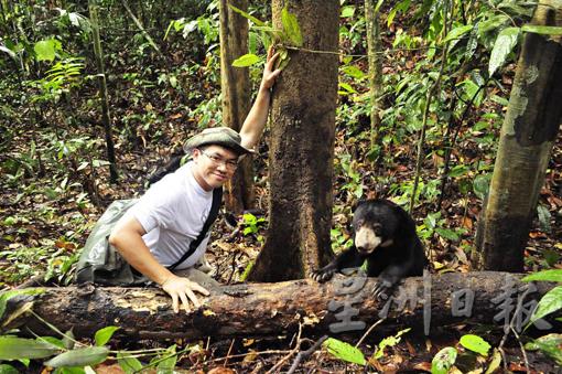 黄修德默默为马来熊保育奋斗了约30年。