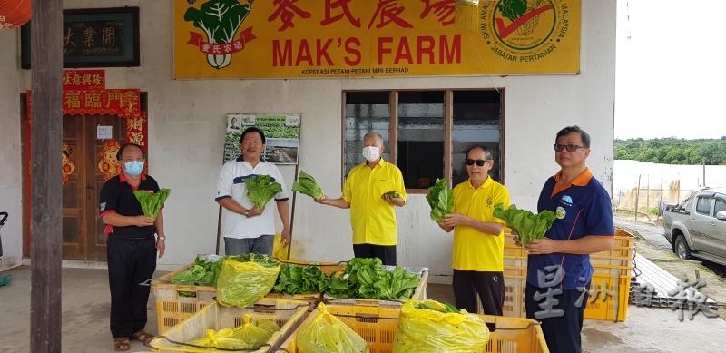 麦氏农场东主麦亚吉（左二）及人联党秘书长陈超耀（右二）展示新鲜收割的蔬菜。