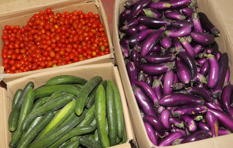 菜农捐出了茄子、番茄和黄瓜等蔬菜。