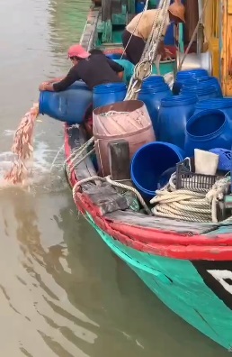 沈志勤和莫哈末法依兹发文告，并分享一则渔民将渔获丢回大海的短片。