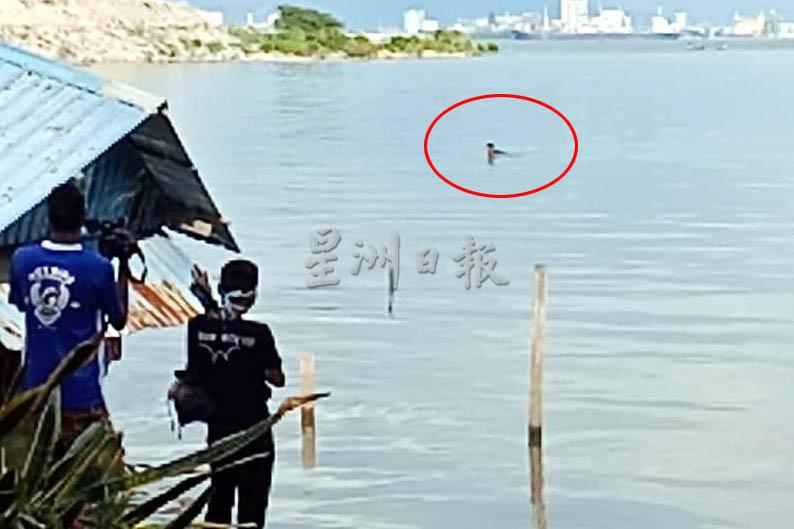 其中一名参与群聚的男子（红闂）跳入海中，警员拿对方没有办法。