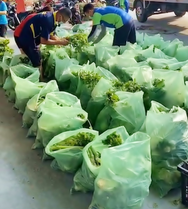 志愿村民也在整理蔬菜，准备发送给全村村民。