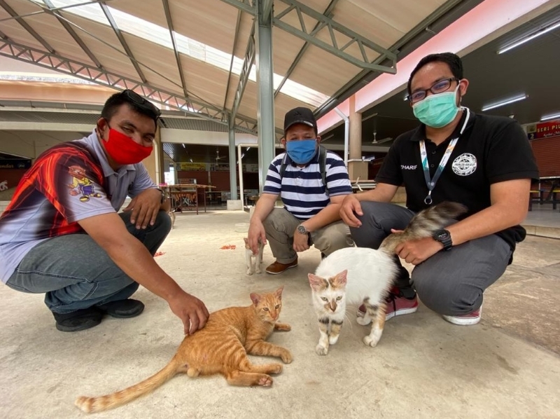 左起为莫哈末依马、阿末慕廉里和莫哈末诺，行管令期间在玻州各地喂食流浪猫。（照片：马新社）