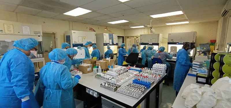 负责化验已采集但未进行检测样本的冠病特工队于8日起进入亚庇公共实验室工作。