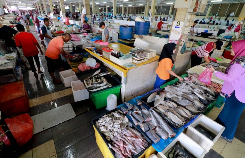 养殖业者只能把鱼拿到巴刹售卖，目前有许多的酒家和餐厅暂停营业销售量减少。