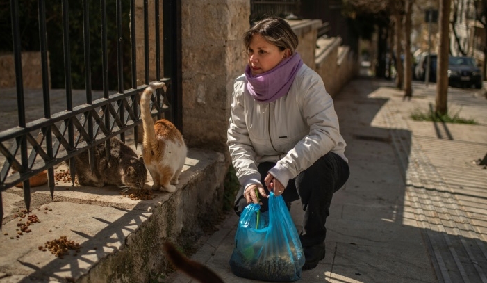 Pets are not entirely safe even at home. AFP