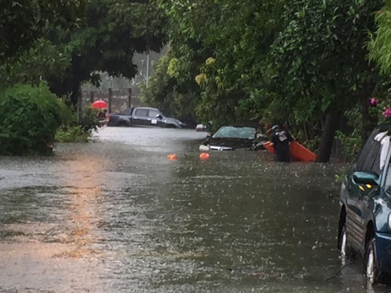 部分地区的水位高逾3呎，几乎淹没半个车身。