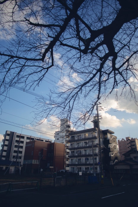 借宿的日本公寓外观。（摄影：陈子韩）