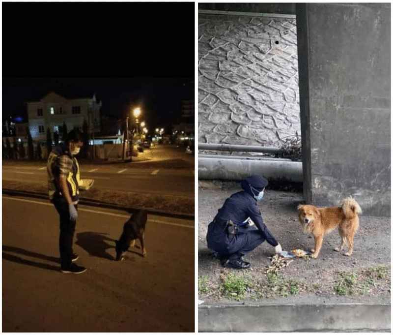 警员在执勤时也照顾弱小动物，获大马皇家警察赞扬。左图惟兵南邦警员在兵南邦绕道路障坚守岗位时，与狗狗分享食物。