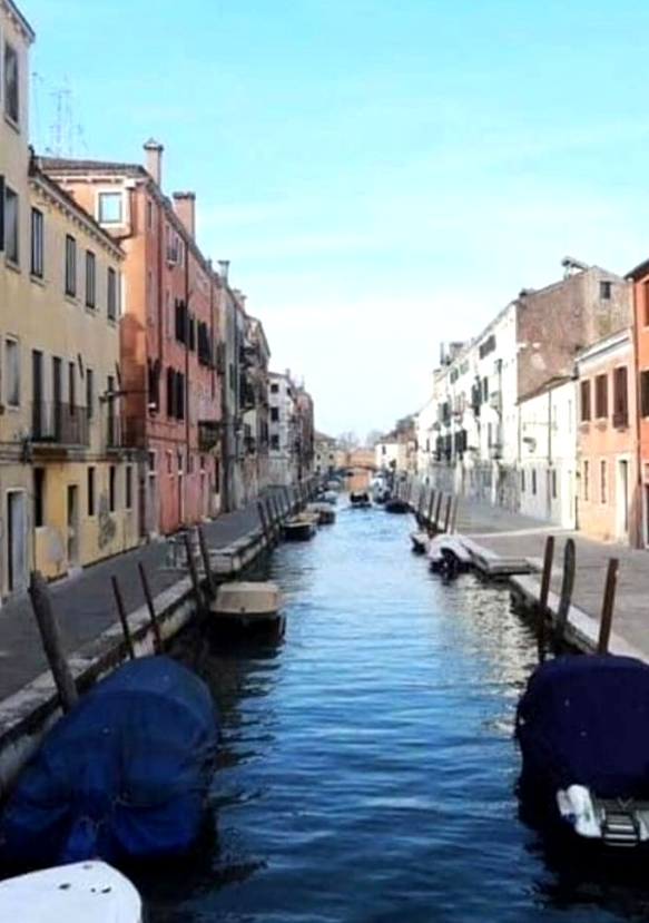 Fishes are back in the Venetian canals.