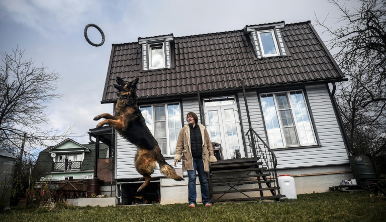 Generations of Muscovites have spent their weekends and summer breaks in dacha settlements outside the city. AFP Generations of Muscovites have spent their weekends and summer breaks in dacha settlements outside the city. AFP