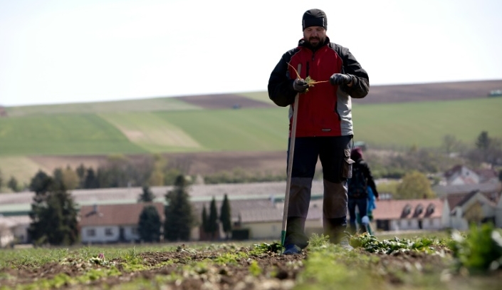 Austria's farms have suddenly found themselves short of foreign labour due to the coronavirus pandemic. AFP Austria's farms have suddenly found themselves short of foreign labour due to the coronavirus pandemic. AFP