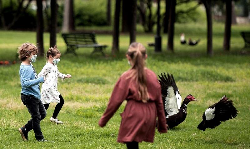 Spanish children chasing ducks in a Seville park. AFP Spanish children chasing ducks in a Seville park. AFP