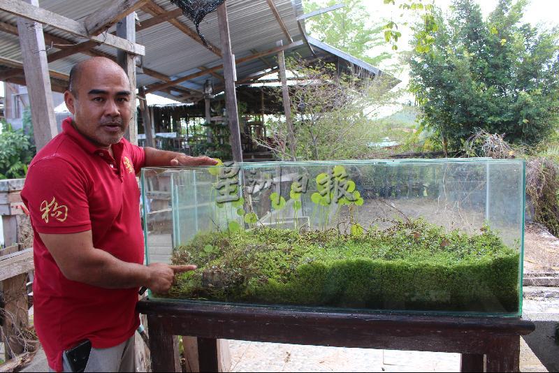 婆罗洲生态之家5年前开放参观，希望扮演自然教育中心的角色，学习与自然和谐共处