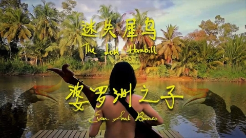 〈迷失犀鸟〉是李哲林作词、作曲，包办音乐影片的创作。
